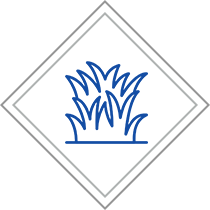 Petit entretien d'espaces verts